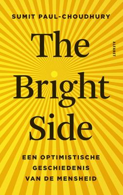 The Bright Side (Paperback)