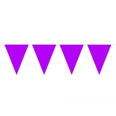 Party Vlaggenlijn puntvlaggetjes - kunststof - paars - 10 meter - Slinger - versiering