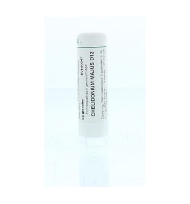 Chelidonium majus D12