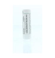 Chelidonium majus D12