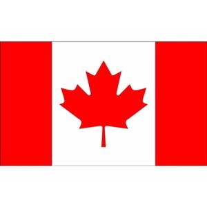 Klein formaat supporters landen vlag Canada - 60 x 90 cm - Landen feestartikelen - polyester