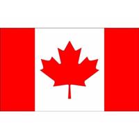 Klein formaat supporters landen vlag Canada - 60 x 90 cm - Landen feestartikelen - polyester