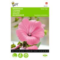 2 stuks Lavatera trimestris Silvercup Zalm Rose - thumbnail