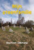 Mijn steenfamilie (Paperback)