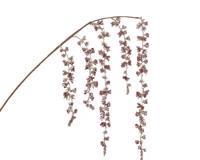 Treurwilg plc l3b6h95 cm pink - Decoris
