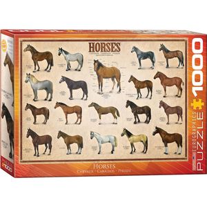 Eurographics Puzzel Paarden - 1000 stukjes