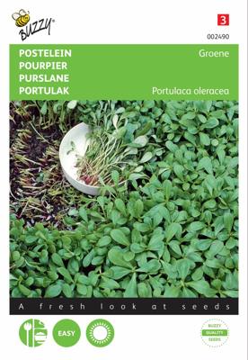 Postelein Groene - Buzzy