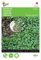 Postelein Groene - Buzzy