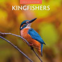 IJsvogel Kalender 2026