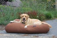 Dog's Companion® Hondenbed Mokka Large