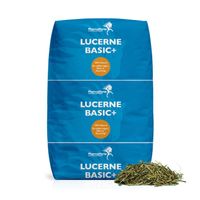 Luzerne Basic+ Luzerne Basic+