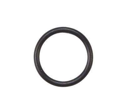 Sram Elvedes o-ring banjo 2019110 (20x)