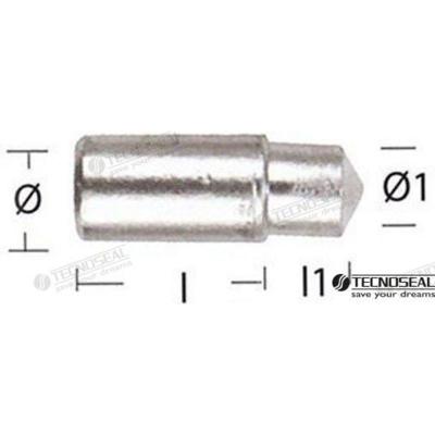TEN02351 - LOMBARDINI ZINKANODE TEN02351T