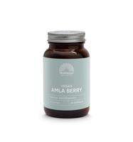 Absolute amla berry extract 500mg