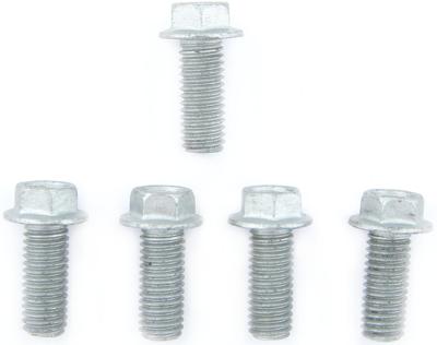 TRW Screw set 5pcs. m8x1,25