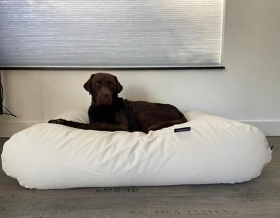 Dog's Companion® Hondenbed ivory leather look large