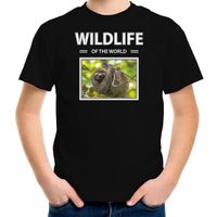 Luiaard t-shirt met dieren foto wildlife of the world zwart voor kinderen - thumbnail