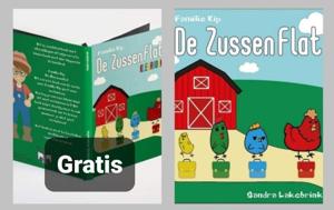 De Zussenflat (Hardback)