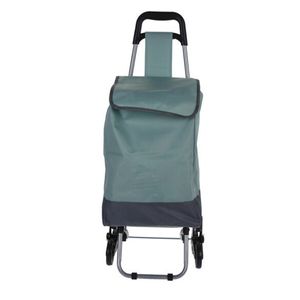 Boodschappen en losse spullen trolley - inhoud 30 liter - groen - met trap wielen