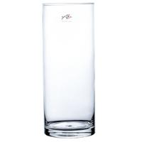 Bellatio flowers & plants Bloemenvaas - glas - cilinder - 12 x 30 cm - transparant - ronde buis vaas