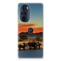 Motorola Edge 30 Pro | TPU Hoesje | Olifanten