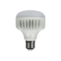 StudioKing LED Daglichtlamp 25W E27 FLED-25