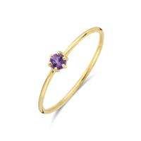 14k Geelgouden Ring met Amethist - Geboortesteen Februari, 4mm