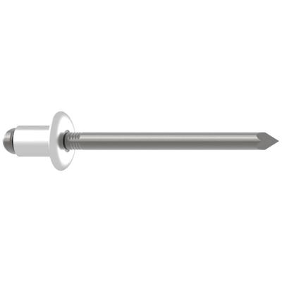 Gesipa 1433638 Popnagel RVS RVS 250 stuk(s)