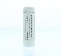 Homeoden Heel Iris versicolor D12 6 Gram