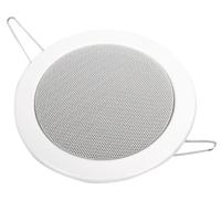 Imp Plafond luidspreker