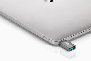 Wentronic 56621 USB-C USB 3.0 female (Type A) Grijs kabeladapter/verloopstukje