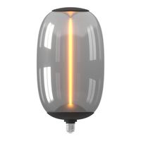 Circle Led lamp Asarna 4W - E27 - Led - 120lm met magneet 2101005500