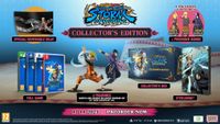 Naruto X Boruto Ultimate Ninja Storm Connections Collector's Edition Naruto X Boruto Ultimate Ninja Storm Connections Collector's Edition