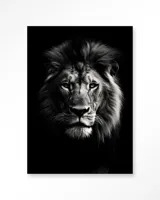 Mighty Lion