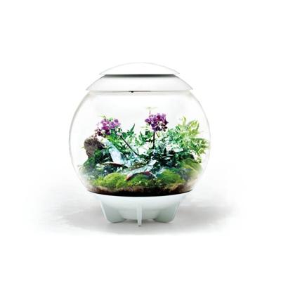 BiOrb Air 60 wit