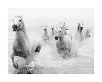Rennende Paarden Kunstdruk