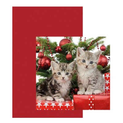 Papieren tafelkleed/tafellaken rood inclusief kerst servetten Papieren tafelkleed/tafellaken rood inclusief kerst servetten