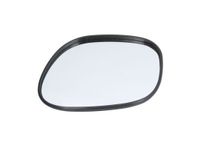 Spiegelglas, buitenspiegel 6102021291958P