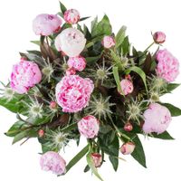 Bloemen - Boeket Pioenrozen (Groot)