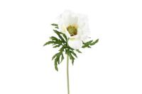 Decostar zijdebloem Anemone L 52 cm wit