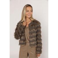 Poools Jack 533110-P160