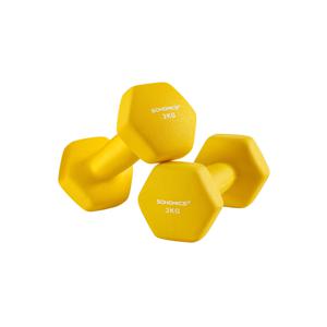 Set van 2 dumbbells 2 x 2 kg