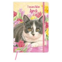 Franciens Katten Weekagenda 2026 Tibbe