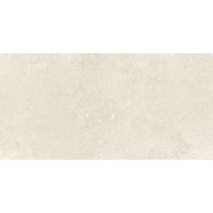 Baldocer Ceramica Arkety wandtegel - 30x60cm - 10mm - gerectificeerd - Betonlook - Bone mat SW073W1015