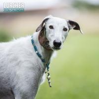 Lurcher Kalender 2026