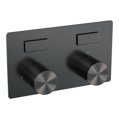 BRAUER Stripe 2-weg Inbouwthermostaat - drukknoppen - in- en afbouwdelen - gunmetal geborsteld PVD 5-GM-355