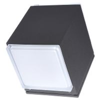 33549K3  - Ceiling-/wall luminaire LED exchangeable 33549K3 - thumbnail