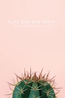 Elke dag een vraag (Paperback)