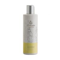 Carthusia Mediterraneo Body Lotion - thumbnail