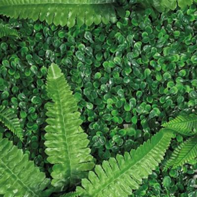 Repto Aquadistri plant achterwand mat 40-60 cm 1 - Aquadistri